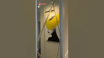 Функциональный и стильный шкаф в прихожую