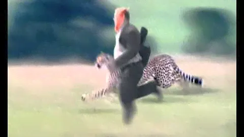 Мебель Столплит